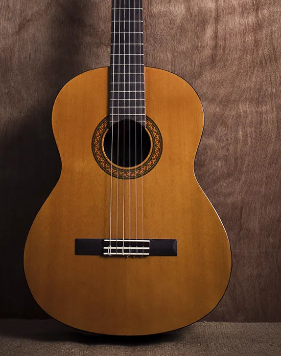 Violão
